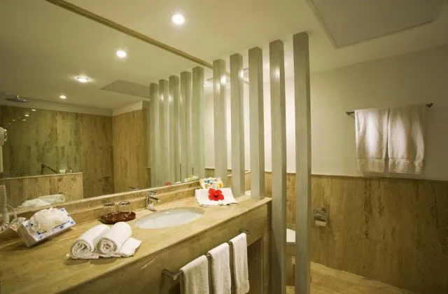 All Inclusive VIK Hotel Arena Blanca Punta Cana room bathroom